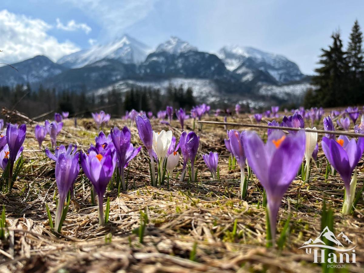 Pokoje U Hani - Sauna, Balia Z Hydromasazem Bukowina Tatrzańska Exteriör bild